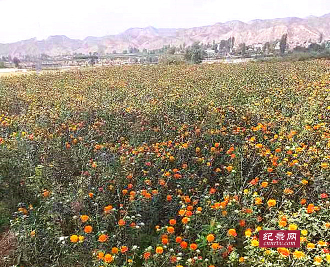 塰䡱չ غ˷ƽչ