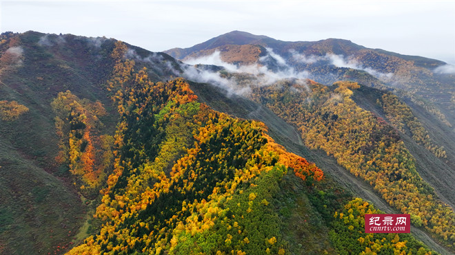 DJI_0054_.jpg