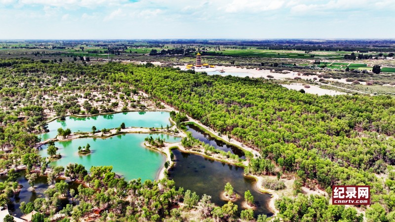DJI_0856_.jpg