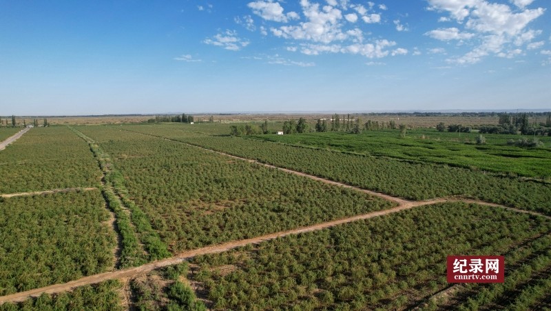 DJI_0637_.jpg