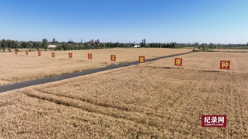DJI_0048_.jpg