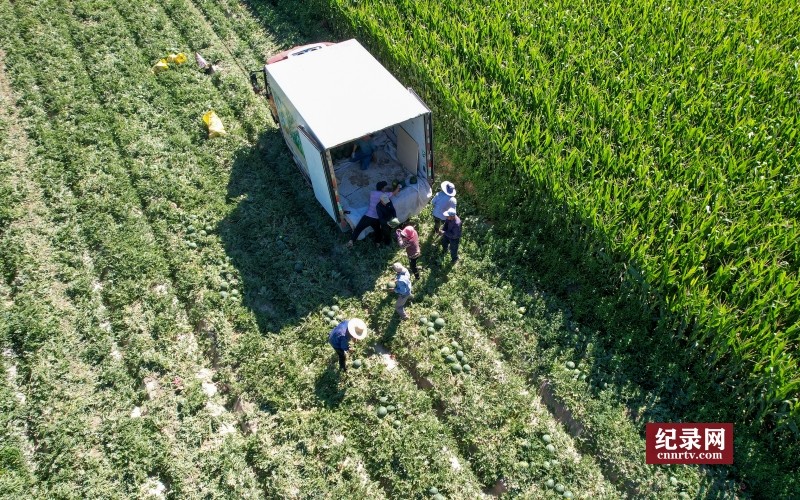 DJI_0799_.jpg