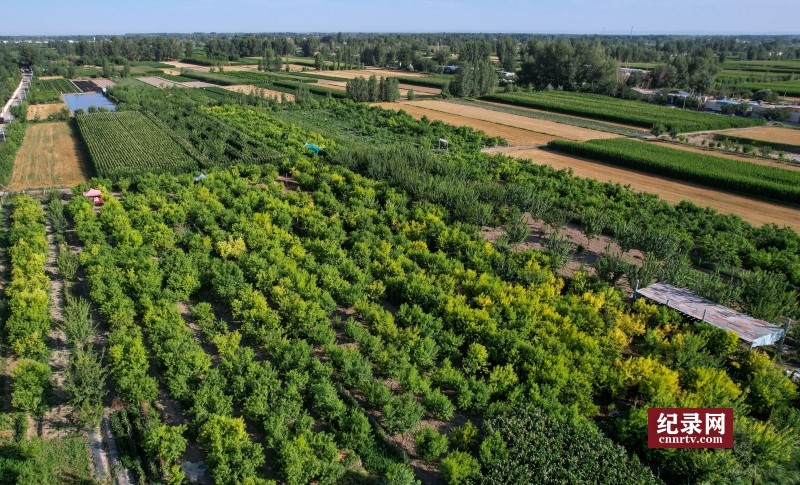 DJI_0822_.jpg