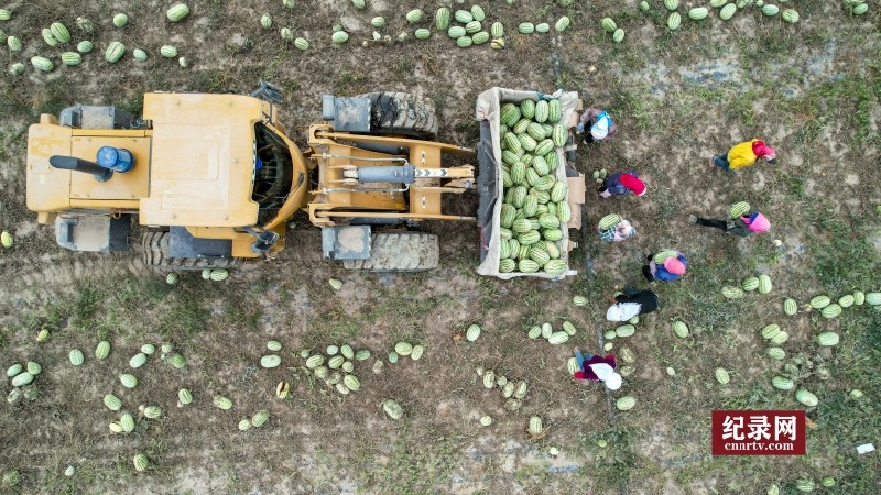 DJI_0213_.jpg