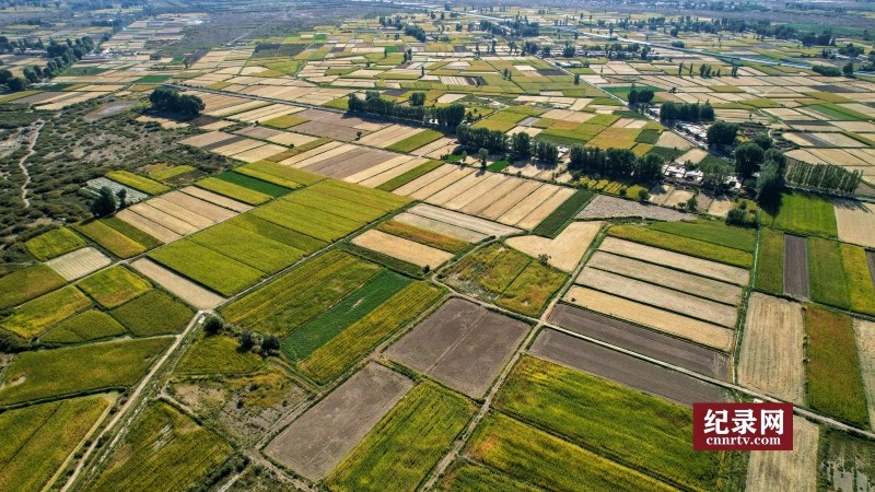 DJI_0955_.jpg