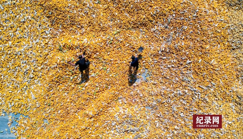 DJI_0003_.jpg