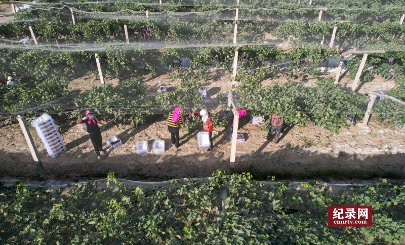 DJI_0047_.jpg
