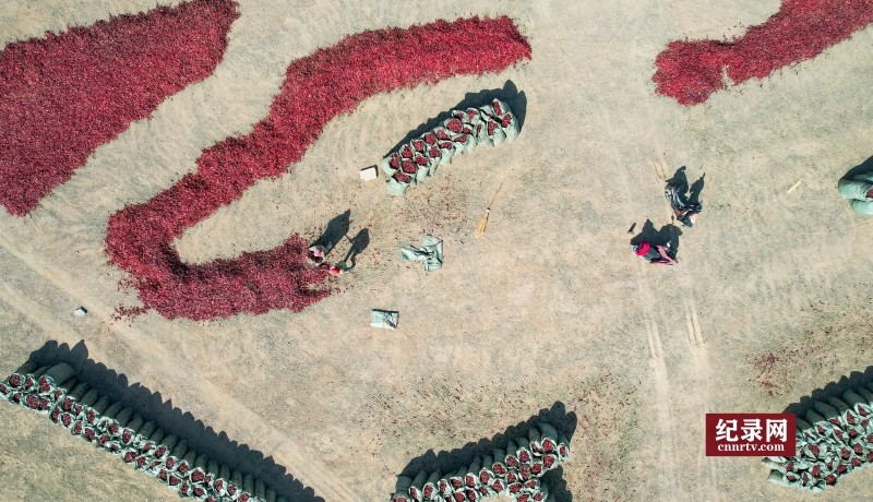 DJI_0915_.jpg