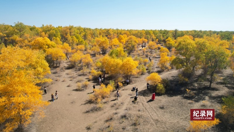 DJI_0845_.jpg