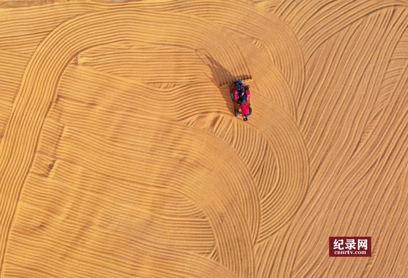DJI_0263_.jpg