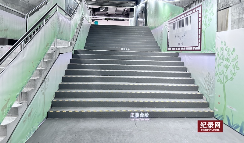 5_.jpg