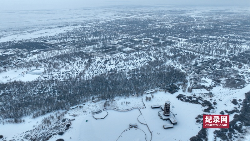 DJI_0837_.jpg
