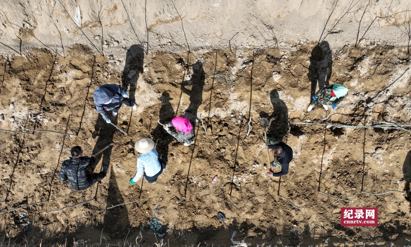 DJI_0098_.jpg