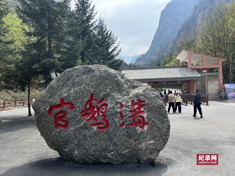 崲عٶ칵