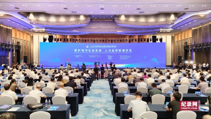 2024纣ȫž