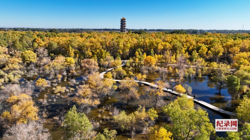 DJI_0222_.jpg